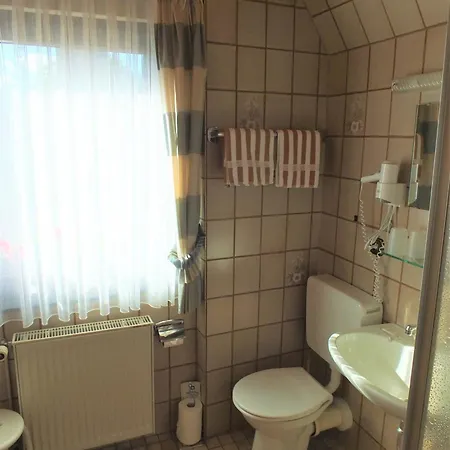 Milberg Assmannshausen 3*