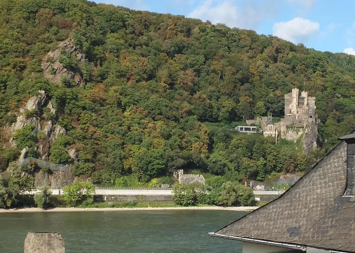 Milberg Assmannshausen Gæstehus Rüdesheim am Rhein