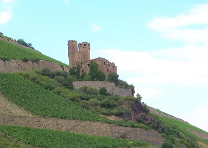 Milberg Assmannshausen 3* Rüdesheim am Rhein