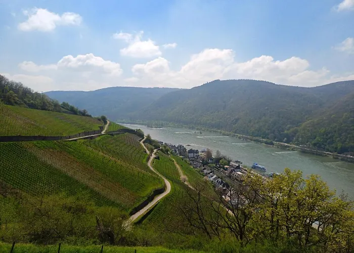 Milberg Assmannshausen Gæstehus 3*